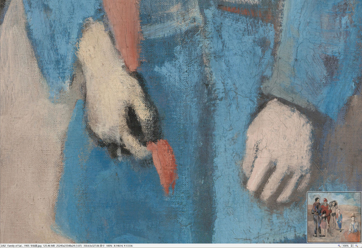 局部图：Family of Saltimbanques