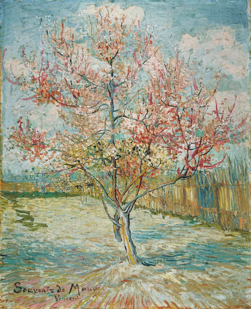 粉红色的桃树（