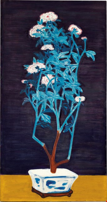 静月莹菊