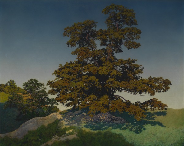 一棵树的画像 Portrait of a Tree