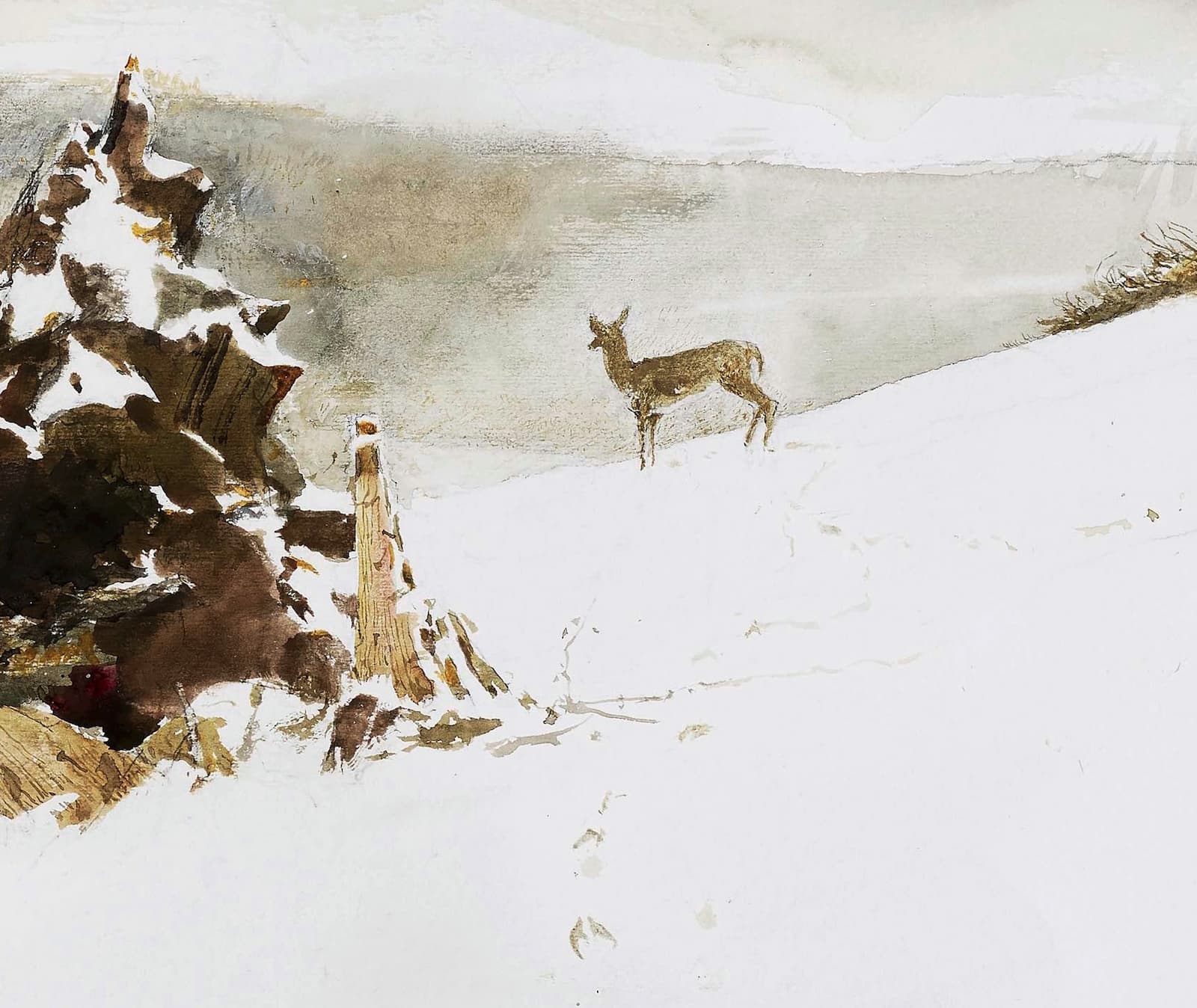 踪迹 Tracks 局部图